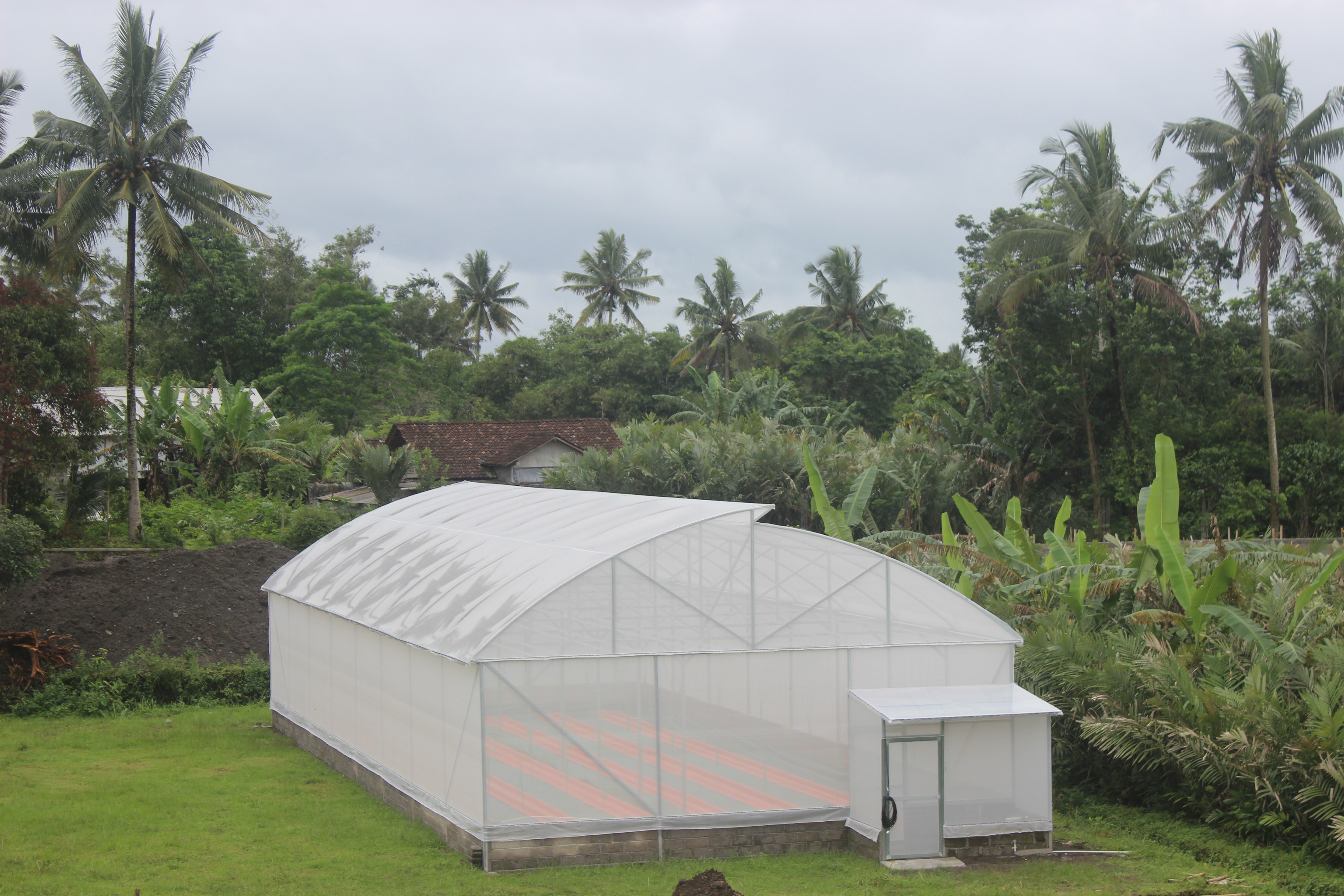 Greenhouse Desa Wisata Nglumut