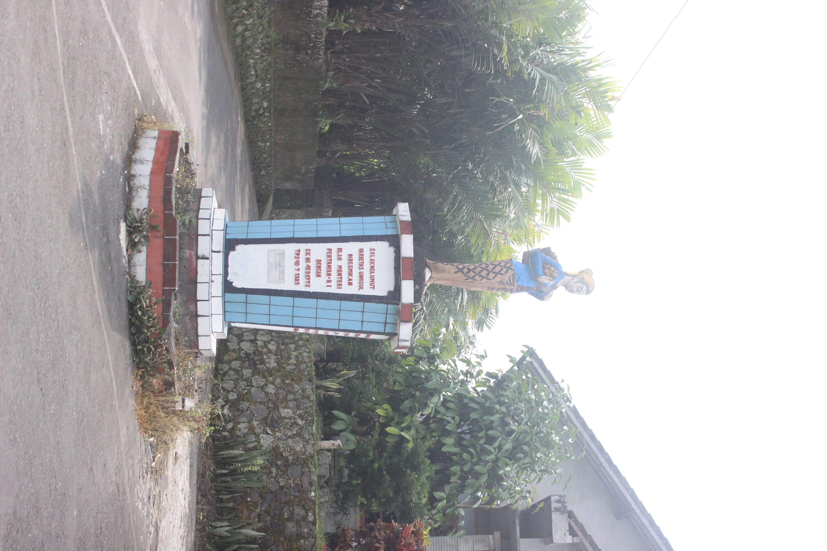 Gunung Merapi dari Nglumut